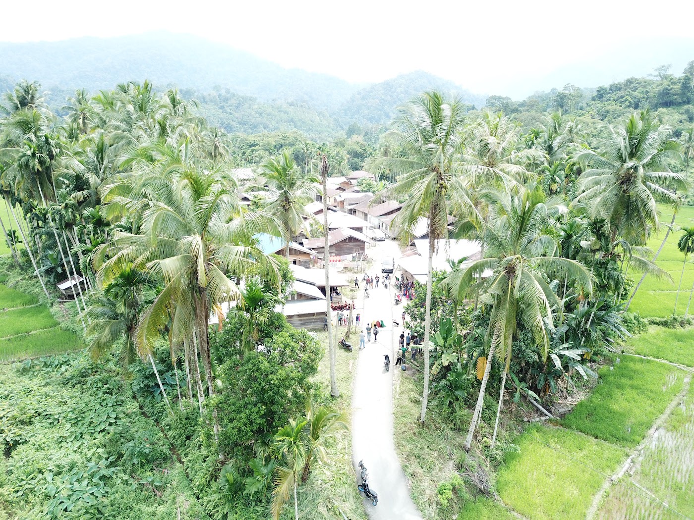 Dokumentasi LPHG Bunin foto 50