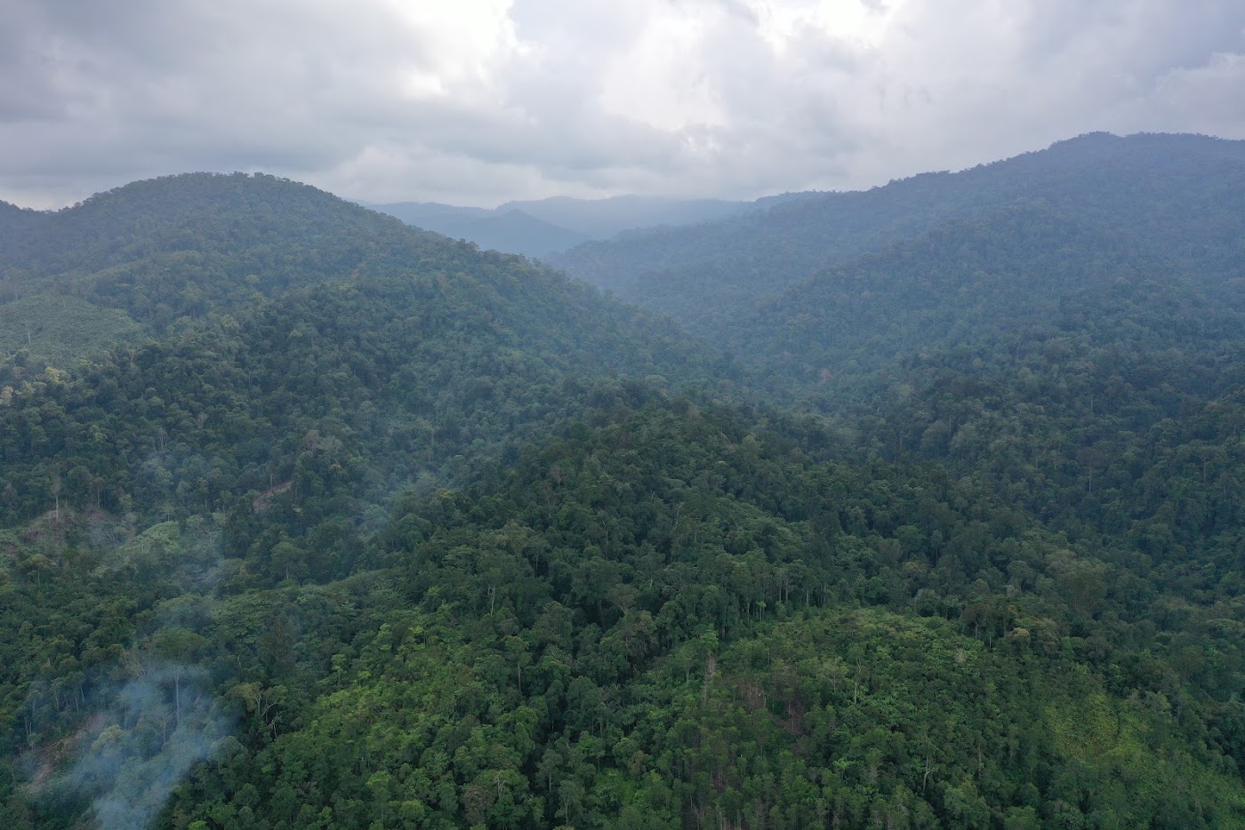 Dokumentasi LPHG Bunin foto 81