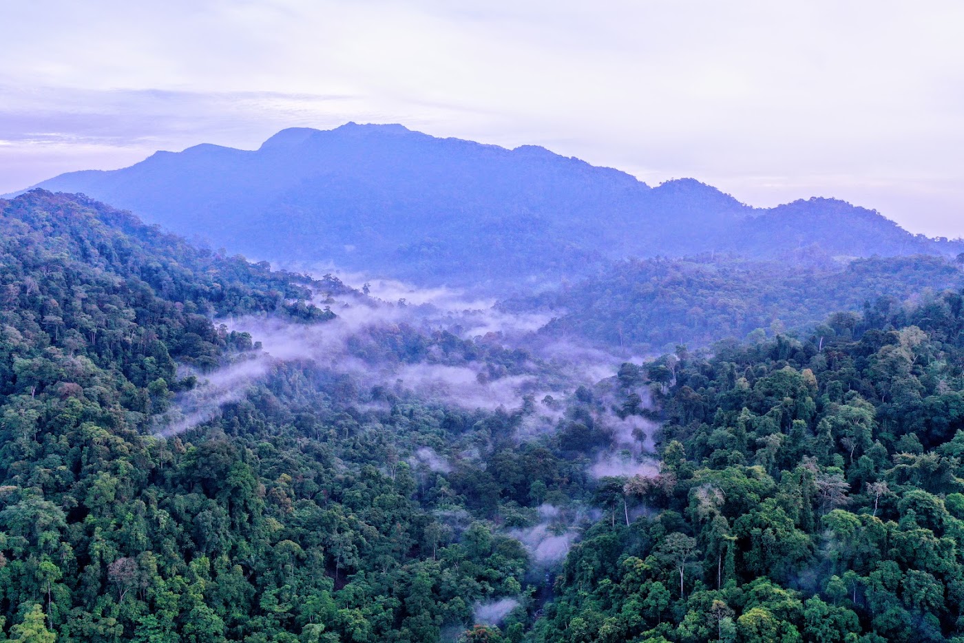 Dokumentasi LPHG Bunin foto 125